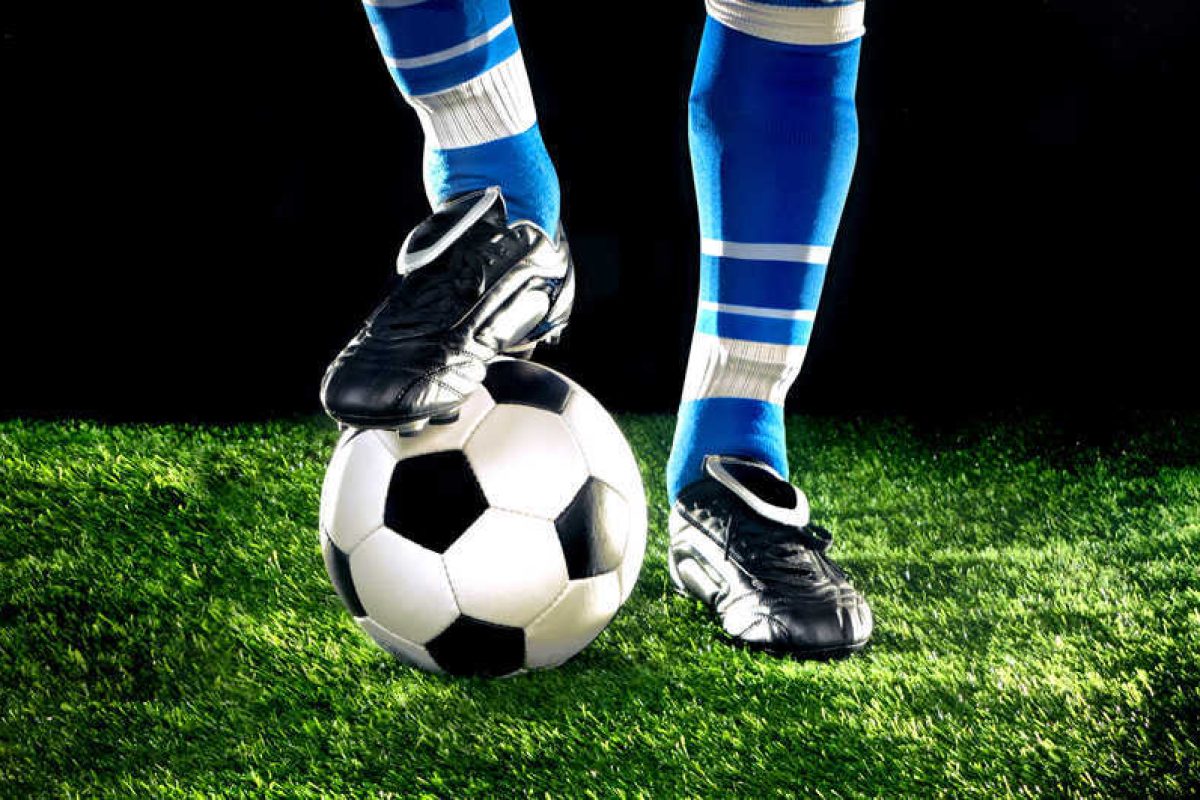 shutterstock_88609807(FILEminimizer)